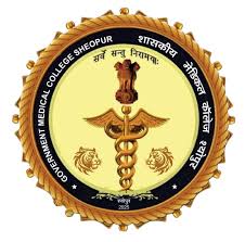 mbbs in government medical college, sheopur