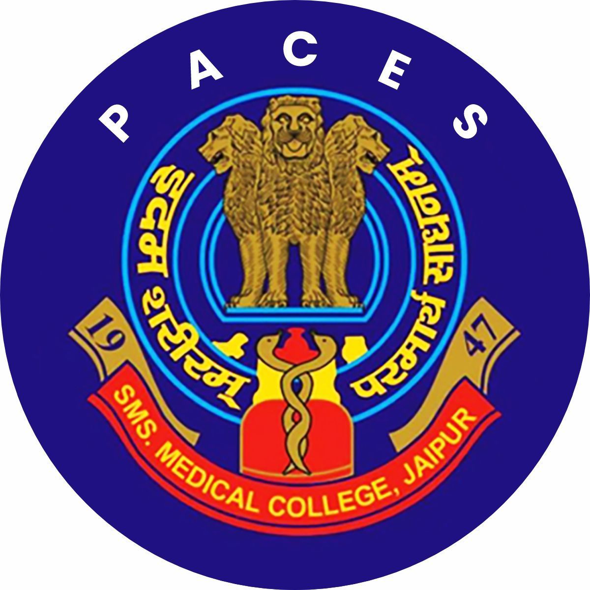 mbbs in sms medical college