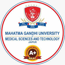 mbbs in mahatma gandhi medical college, jaipur