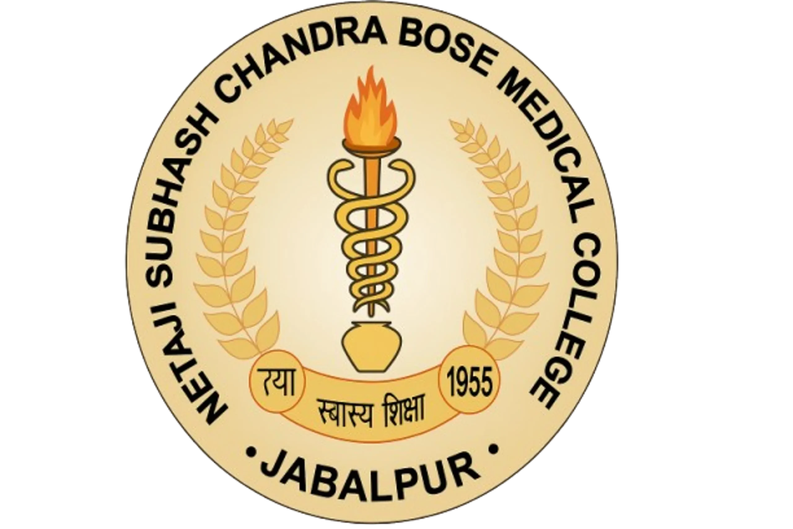mbbs in netaji subhash chandra bose medical college, jabalpur