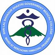 mbbs in slbsgmch, mandi