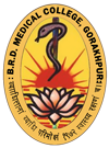 logo-brd