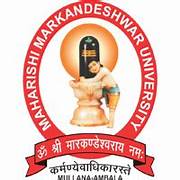 mbbs in mmimsr, mullana